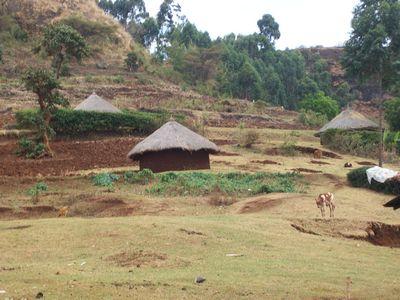 Rural houses of sebei.jpg